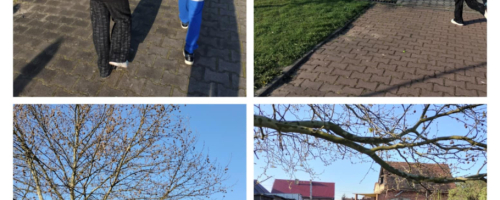 Poszukiwanie wielkanocnego zajączka przez uczniów klasy 1a