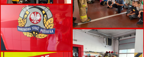 IIb w Powiatowej Komendzie Straży Pożarnej w Rawiczu