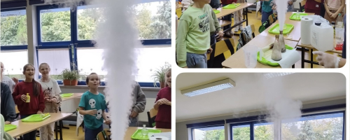 Naukowy Dzień Chłopaka i Dzień Dziewczyny w klasie IIIb