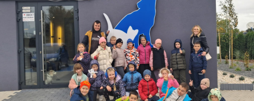 Świetliczaki u weterynarza - nauka przez doświadczenie