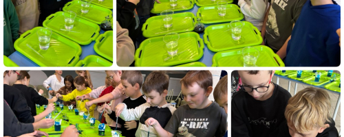 Warsztaty BIO-ART z klasą IIc i IIIc