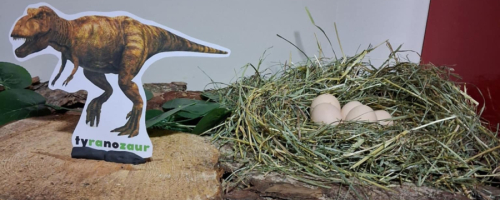 Dzień Dinozaura w świetlicy szkolnej