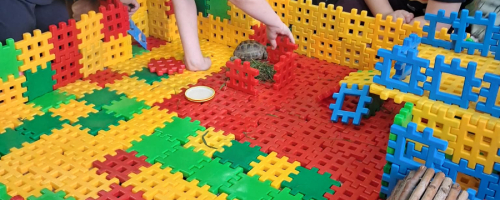 Dzień żółwia w świetlicy szkolnej