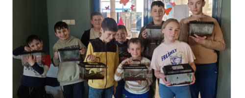 Warsztaty przyrodnicze – zakładamy terrarium dla patyczaka